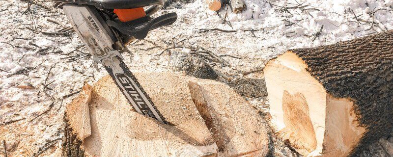 Piła mechaniczna - Staszek Drwal