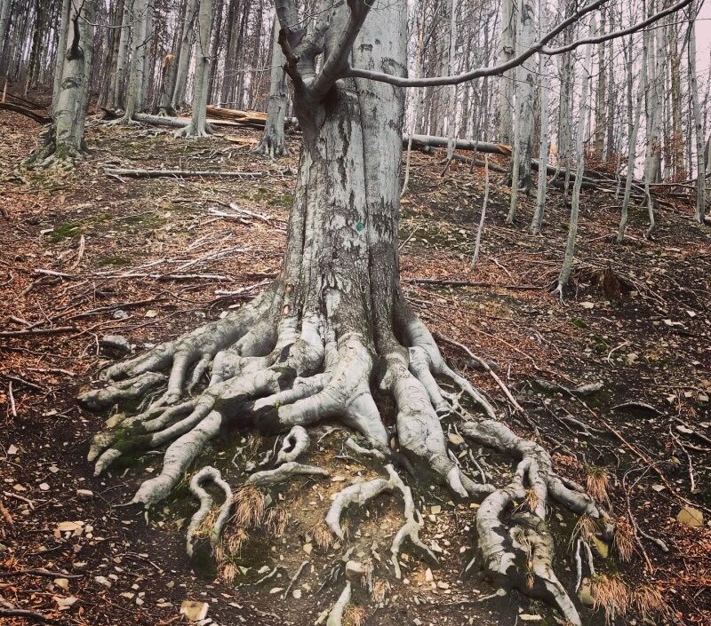 9B26D3C0-D63F-4434-A446-BDC25E93924B 9B26D3C0-D63F-4434-A446-BDC25E93924B